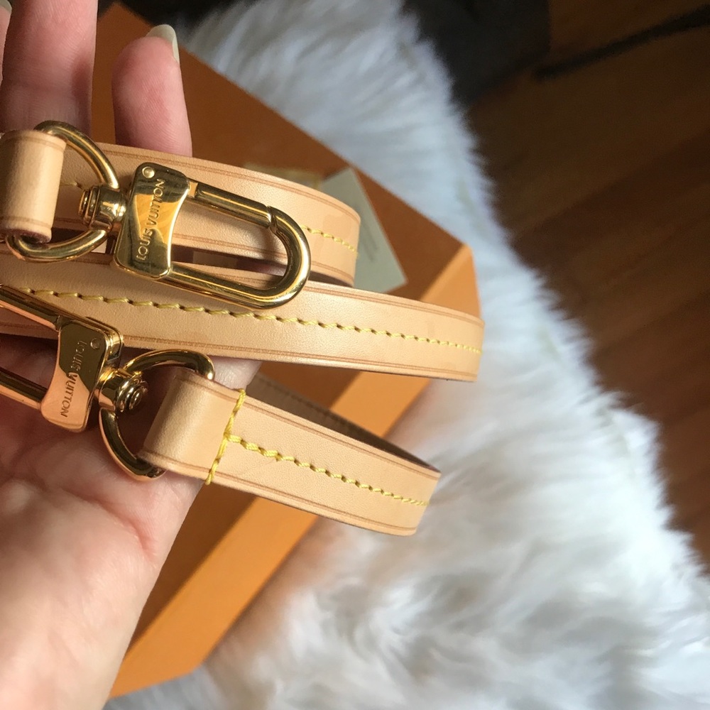 Louis Vuitton Croisette Azur Crossbody Handle - Picture 9 of 14